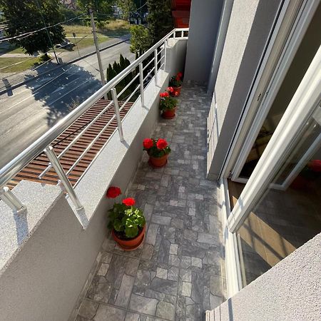 Apartman Ambijent Aranđelovac Eksteriør billede